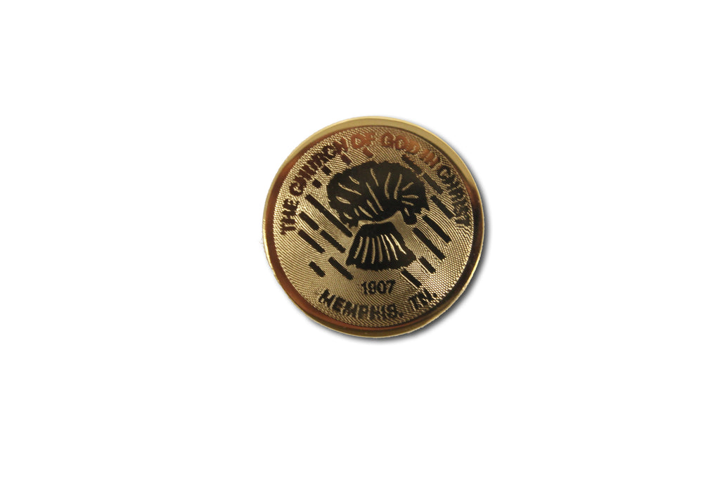 Lapel Pin